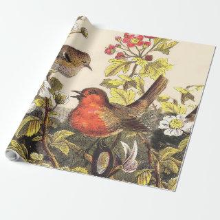 Spring Robin Birds Red Birding