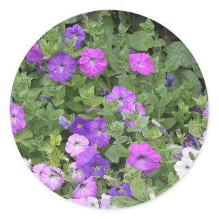 Spring Summer Floral Purple Petunia Flowers Decor Classic Round Sticker