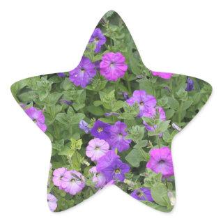 Spring Summer Floral Purple Petunia Flowers Decor Star Sticker