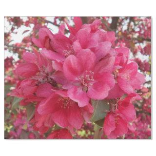 Spring Time Flower