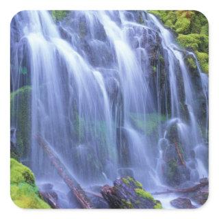 Spring-time fresh water flowing over moss square sticker
