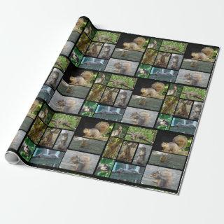 Squirrel collage Gift Wrap