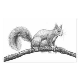 Squirrel drawing rectangular sticker