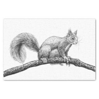 Squirrel drawing tissue paper