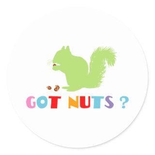 Squirrel Got Nuts? Classic Round Sticker