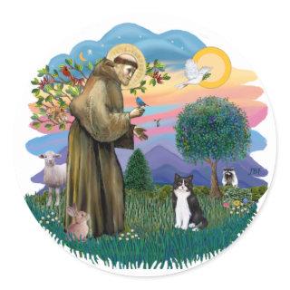 St Francis (ff) - Black and white cat Classic Round Sticker