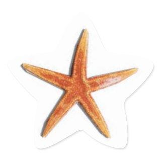 Star shaped starfish sticker