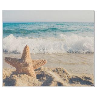 Starfish on a Sandy Beach Photograph