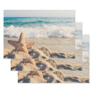 Starfish on a Sandy Beach Photograph  Sheets