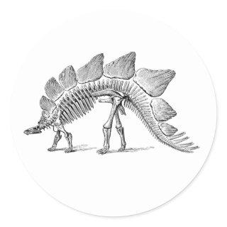 Stegosaurus Dinosaur Skeleton Fossil Classic Round Sticker