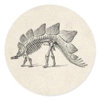 Stegosaurus Dinosaur Skeleton Fossil Classic Round Sticker