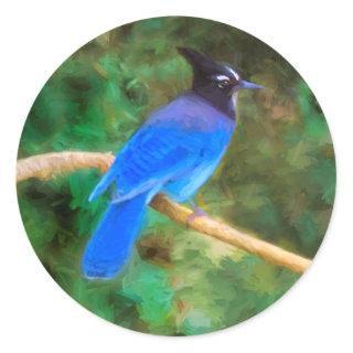 Steller's Jay Painting - Original Bird Art Classic Round Sticker