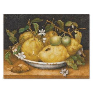 Still Life with Bowl of Citrons and Fly Garzoni Tissue Paper