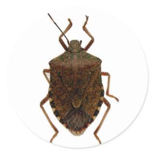 Stink Bug Classic Round Sticker