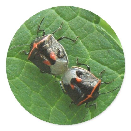 Stinkbugs ~ sticker