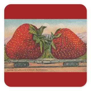 Strawberries Giant Antique Fruit Fun Square Sticker