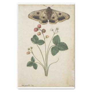 Strawberry and Emperor Moth by Jacques de Morgues Tissue Paper