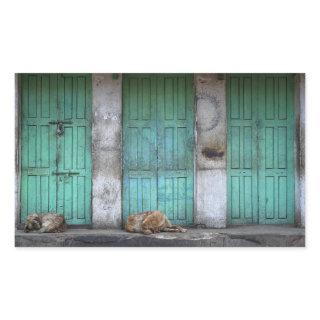 Stray dogs in front of doors rectangle sticker