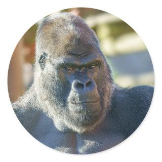 Striking Silverback Classic Round Sticker
