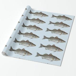 Striped Bass Fish Pattern