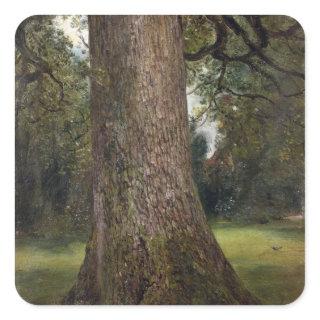 Study of the Trunk of an Elm Tree, c.1821 (oil on Square Sticker