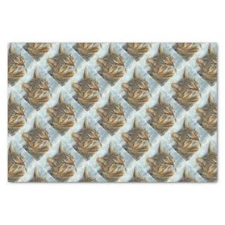 Stunning Tabby Cat Close Up Graphite Pencil Portra Tissue Paper