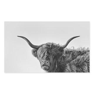 Sturdy highland cow in monochrome rectangular sticker