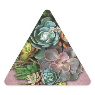 Succulent displays triangle sticker