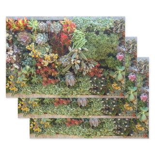 Succulent Garden 2  Sheets