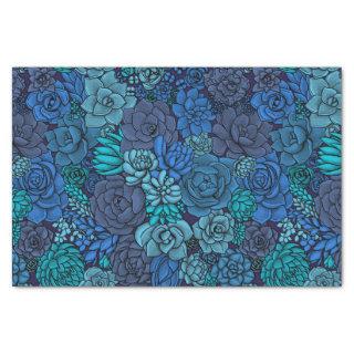 Succulent garden in blue tissue paper