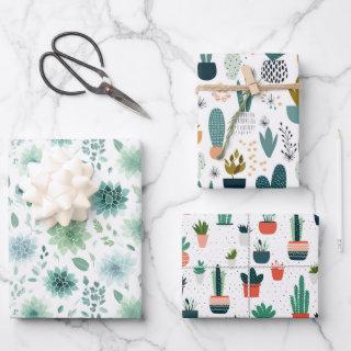 Succulent Trio  Set