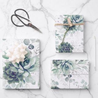 Succulents Greenery and Silver Eucalyptus Leaves  Sheets