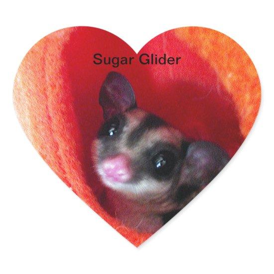 Sugar Glider in Orange Hanging Bed Heart Sticker