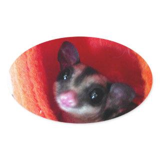 Sugar Glider in Orange Hanging Bed Oval Sticker