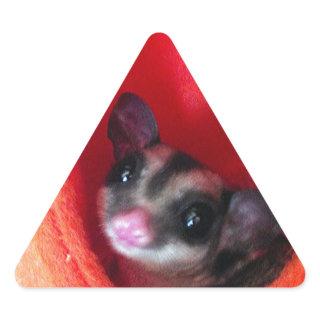 Sugar Glider in Orange Hanging Bed Triangle Sticker