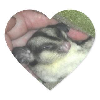 Sugar Glider Sleeping in Blanket Heart Sticker