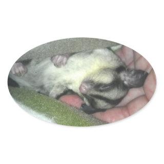 Sugar Glider Sleeping in Blanket Oval Sticker