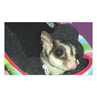 Sugar Glider Wearing a Hat Rectangular Sticker