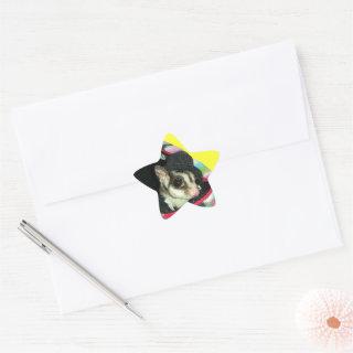 Sugar Glider Wearing a Hat Star Sticker