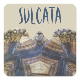 Sulcata Tortoise Stickers