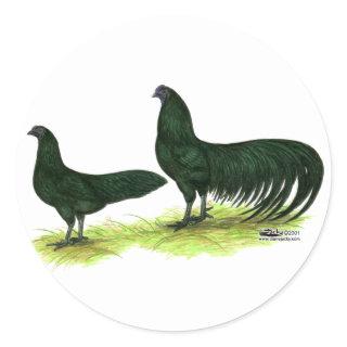 Sumatra Black Chickens Classic Round Sticker