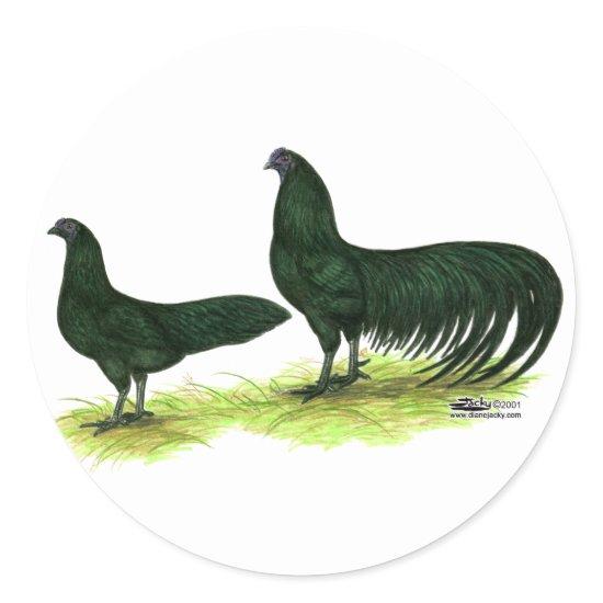 Sumatra Black Chickens Classic Round Sticker
