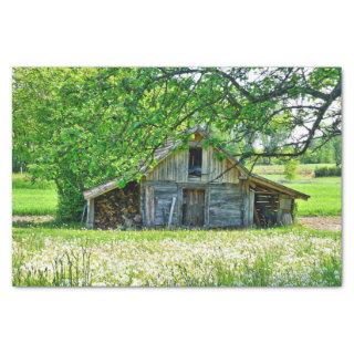 Summer Barn with Stacks of Logs & Dandelion Field Tissue Paper