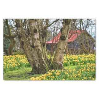 Summer Cabin Complete, Old Tree and Yellow Flowers Tissue Paper