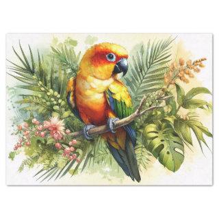 Sun Conure Decoupage Tissue Paper