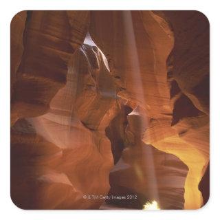 Sunbeam hitting tumbleweed on canyon floor square sticker