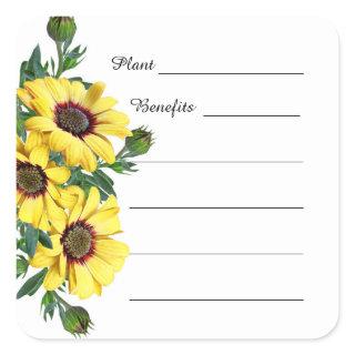 Sunflower Apothecary Herbs Plant Benefits Sticker