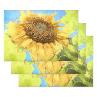 Sunflower Country Rustic Yellow Watercolor  Sheets