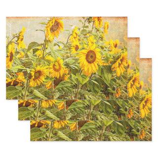 Sunflower Field Decoupage Yellow Vintage Antique  Sheets