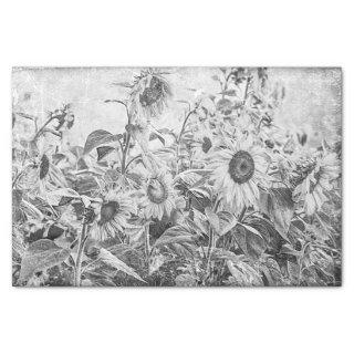 Sunflower Field Vintage Black And White Decoupage Tissue Paper